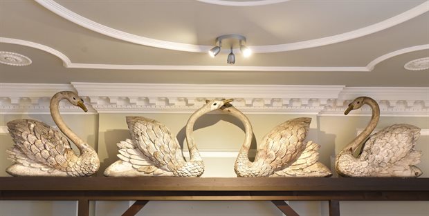 Lowewood4swans